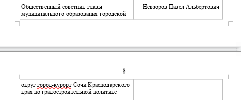 &laquo;Бессребреник&raquo; Алёша, или Копайгородский с видом на губернторство