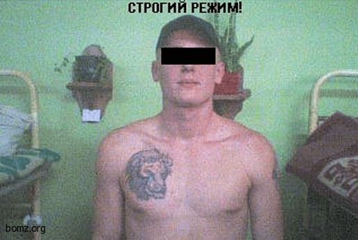 new_image4_240